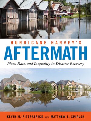 cover image of Hurricane Harvey's Aftermath